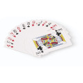 Fun Magic Poker-Svengali cards